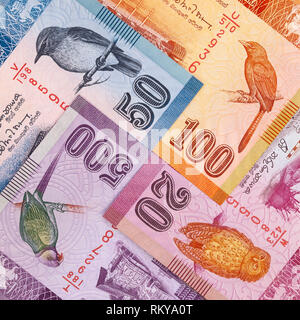 Die symmetrische Komposition des srilankischen Banknoten. Rupie, die nationale Währung Sri Lankas. Stockfoto