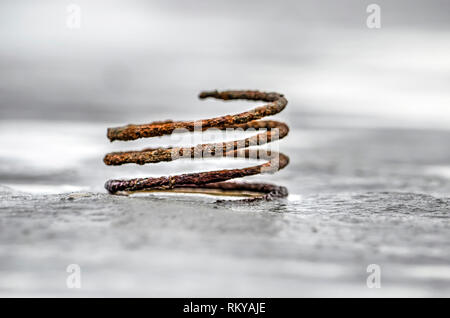 Seitenansicht, von einem niedrigen Ausgangspunkt genommen, wenn eine geringe Tiefenschärfe, eine verrostete Spirale auf ein nasser Sandstrand in der Nähe des Meeres Stockfoto