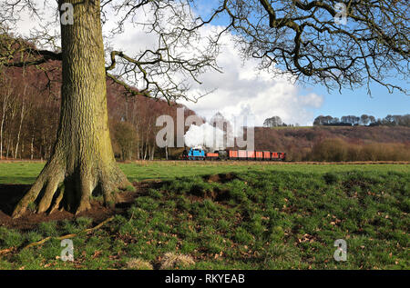 Caley Tank 419 Köpfe Vergangenheit Consall Holz am 10.2.19 auf die Churnet Valley Railway. Stockfoto