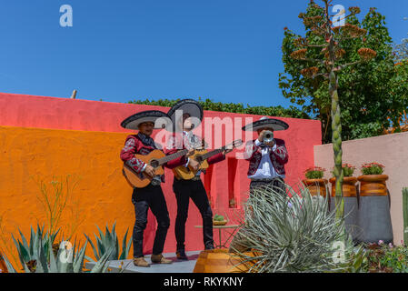 Mariachi Band auf einem Garten an der RHS Chelsea Flower Show 2017 Stockfoto