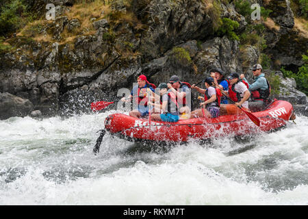 Wildwasser Rafting auf dem Snake River in Hells Canyon mit Reihe Abenteuer. Stockfoto