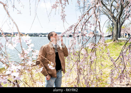 Washington DC, USA Tourist Menschen junge Mann stand von Cherry Blossom sakura Baum im Frühling mit Potomac River Memorial Bridge auf die nationalen Mals Stockfoto