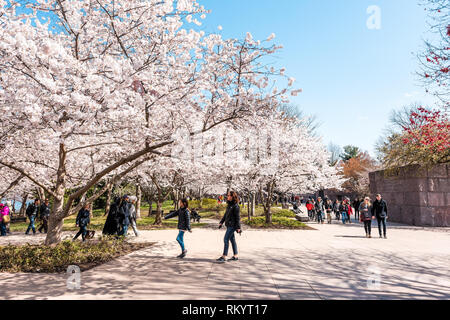 Washington DC, USA - April 5, 2018: die Menschen zu Fuß von Franklin Delano Roosevelt FDR Memorial auf Cherry Blossom sakura Bäume im Frühling während Festival Stockfoto