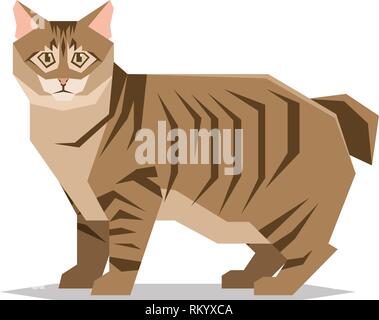 American Bobtail Rasse auf weißem Hintergrund Stock Vektor