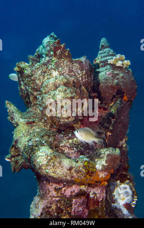 Unterwasser Statue, Jemeluk Bay Galerie Tauchplatz, Amed, Bali, Indonesien, Indischer Ozean Stockfoto