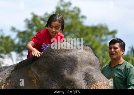 Vajra Garrett reitet auf einem Elefanten an einem Eco Resort - Khao Sok, THAILAND Stockfoto