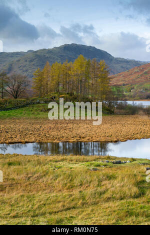 Herbstliche Blick auf den Fluss Brathay im Nationalpark Lake District, Cumbria, England. Stockfoto