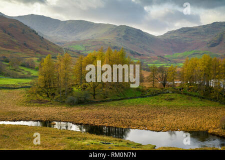 Herbstliche Blick auf den Fluss Brathay im Nationalpark Lake District, Cumbria, England. Stockfoto