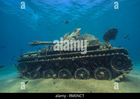 Ein Tank sitzt still auf dem Boden des Roten Meeres in der Nähe von Aqaba in Jordanien. Stockfoto