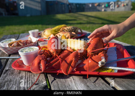 Das köstliche, traditionelle Neu-England Mahlzeit der atlantischen Hummer auf einem Picknicktisch in Maine in den USA. Stockfoto