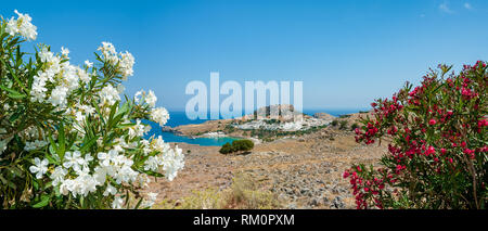 Panorama, Blick auf die Stadt Lindos mit Ruinen der antiken Akropolis. Ansicht mit Blumen, weißen und roten Nerium oleander blühen eingerahmt. Griechenland. Stockfoto