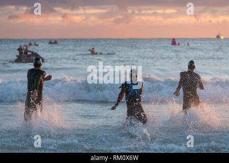 Am frühen Morgen schwimmen Wettbewerb in Mooloolaba in Queensland. Stockfoto