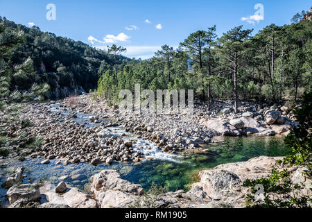 Rein und frisch Wasser Fluss und natürlichen Pool in Korsika, Frankreich, Europa (Fluß Solenzara) Stockfoto