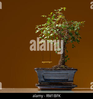 Eine kleine Bonsai Baum in einen schwarzen Topf mit gelben Swing gepflanzt, braunen Hintergrund Stockfoto