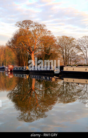 Baum Reflexionen in der Oxford Canal an Thrupp in der Nähe von Bicester an einem Winter Stockfoto