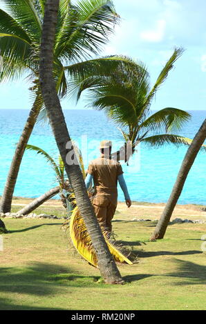 Gärtner sammeln trocken Kokosnuss (Cocos nucifera) Palmenblättern und abgestorbene Äste in einem tropischen Garten an der Küste. Mann bei der Arbeit und Beruf Thema. Stockfoto