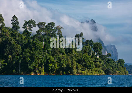 Karstformationen Aufstieg aus CHEOW LAN LAKE in Khao Sok Nationalpark - THAILAND Stockfoto