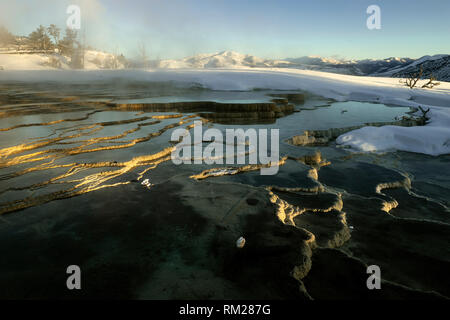 WY 03618-00 ... WYOMING - Sonnenaufgang am oberen Terrassen von Mammoth Hot Springs, Yellowstone National Park. Stockfoto