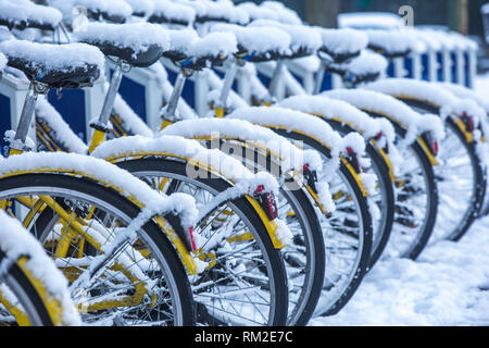 Reihe der schneebedeckten Fahrräder zum Mieten. Stockfoto