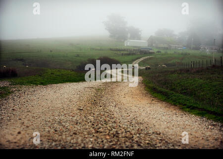 Ein Feldweg führt in Nebel Stockfoto