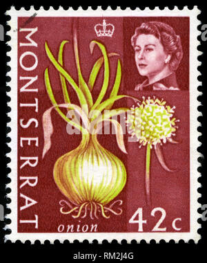 Briefmarke von Montserrat in der Landwirtschaft Produkte Serie 1965 ausgestellt Stockfoto