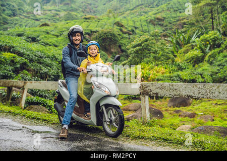 Vater und Sohn sind Reisen auf einem Moped auf einer Teeplantage in Malaysia. Reisen mit Kindern Konzept Stockfoto