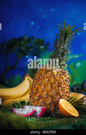 Ananas, Bananen, Mango, Drachenfrucht mit tropischen Blätter auf einem blauen Hintergrund mit Wassertropfen und Platz kopieren Stockfoto