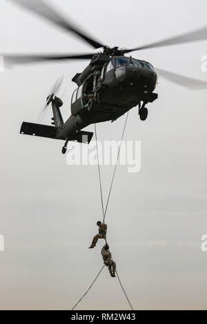 Zwei US-Soldaten Abstoßen von einem UH-60 Black Hawk Hubschrauber während schnelle Seil einführen und Absaugung Ausbildung an der Udairi Landing Zone, Camp Buehring, Kuwait, Feb 9, 2019. Dozenten aus der Army National Guard Warrior Training Center, Fort Benning, Georgia, ausgebildet und die Flugbesatzungen zum 1.BATAILLON zugeordnet, 108 Aviation Regiment, Kansas Army National Guard, der in der Vorbereitung für einen Air Assault Kurs zu einem späteren Zeitpunkt in diesem Monat. Foto wurde verschwommen Betriebssicherheit zu schützen. (U.S. Army National Guard Foto von Sgt. Emily Finne) Stockfoto