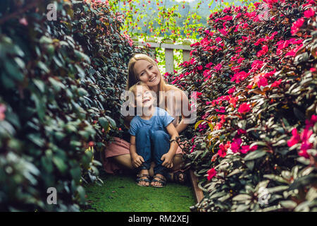 Mutter und Sohn einer Blume Gewächshaus Stockfoto