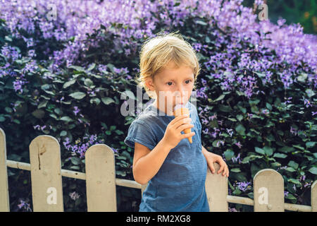 Der junge isst Lavendel Eis auf dem Hintergrund einer lavendelfeld Stockfoto