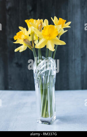 Ein Blumenstrauß der Irischen Narzissen (Lus eine Chromchinn oder Narcissus) in einem Kristall Vase. Stockfoto