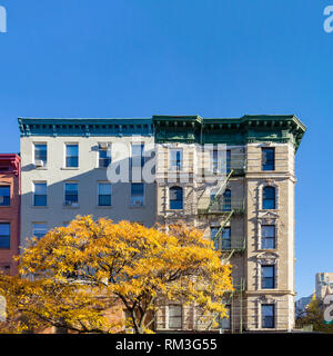 Bunter Herbst Baum mit goldenen Blätter vor einem alten Mietshaus an der 2nd Avenue in der East Village von Manhattan, New York City Stockfoto