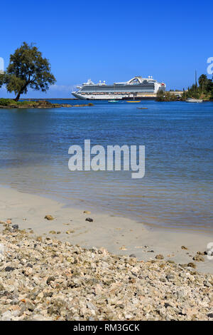 Schilf Bay Beach, Hilo, Hawaii, USA Stockfoto