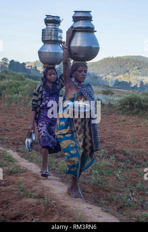 Frau balancing Wasser Topf, Araku, Andhra Pradesh, Indien, Asien Stockfoto