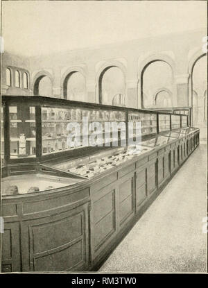 . Jahresbericht des Verwaltungsrats der Smithsonian Institution. Smithsonian Institution; Smithsonian Institution. Archive; Entdeckungen in der Wissenschaft. Bericht der US National Museum, 1900.- Merril' Teller 2.. Ansicht der Fall und die Installation von nichtmetallischen Mineralien auf der Galerie der Südwesten des United States National Museum, North suchen. Beschreibung siehe Seite 47.. Bitte beachten Sie, dass diese Bilder aus gescannten Seite Bilder, die digital für die Lesbarkeit verbessert haben mögen - Färbung und Aussehen dieser Abbildungen können nicht genau mit dem Original ähneln extrahiert werden Stockfoto