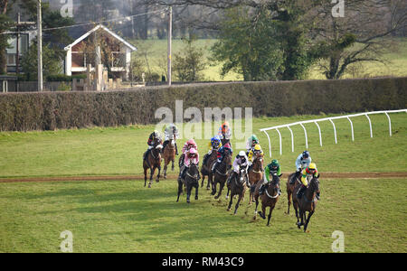 Brighton, UK. 13 Feb, 2019. Racing wieder an Plumpton Racecourse in Sussex nach den jüngsten Aussetzung der Pferderennen in Großbritannien wegen eines Ausbruchs der Equine Grippe. Das erste Rennen des Tages ist der Happy Birthday Kim Shaw Novizen' Hürde (Klasse 4), die schließlich von Acey Mailand: Simon Dack/Alamy Leben Nachrichten gewonnen wurde, Stockfoto