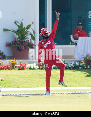 Muscat, Oman. 13 Feb, 2019. Bild zeigt: Der Oman Jatinder Singh, feiert seinen Fang Irlands Andrew balbirnie an der Grenze für 34 läuft als Irland, Oman, am ersten Tag des Oman viereckigen Serie. Credit: Ian Jacobs/Alamy leben Nachrichten Stockfoto