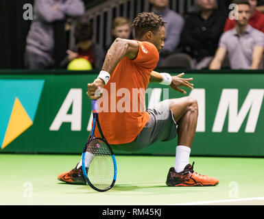 Rotterdam, Niederlande, 13. Februar 2019, ABNAMRO World Tennis Turnier, Ahoi, Gael Monfils (FRA) Foto:/Henk Koster Credit: Henk Koster/Alamy leben Nachrichten Stockfoto