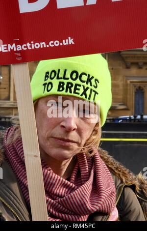 London, Großbritannien. 13 Feb, 2019. Pro EU-Rest, Anti Brexit Protest, Houses of Parliament, London.UK Credit: michael Melia/Alamy leben Nachrichten Stockfoto