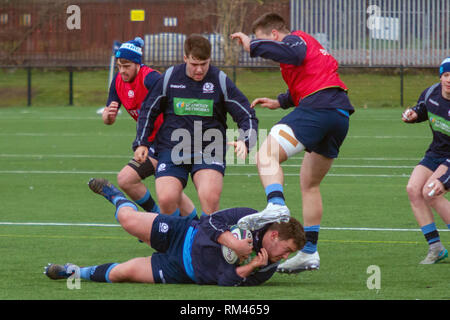 Clydebank, Schottland, Großbritannien. 13. Februar, 2019. Schottland und Schottland U20 während der offenen Training in Clydebank Gemeinschaft Sport Hub, in der Nähe von Glasgow, während das Guinness sechs Nationen brache Woche. Iain McGuinness/Alamy leben Nachrichten Stockfoto