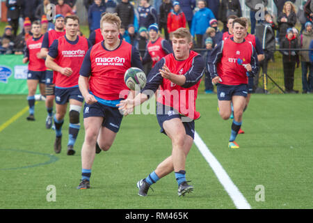 Clydebank, Schottland, Großbritannien. 13. Februar, 2019. Schottland und Schottland U20 während der offenen Training in Clydebank Gemeinschaft Sport Hub, in der Nähe von Glasgow, während das Guinness sechs Nationen brache Woche. Iain McGuinness/Alamy leben Nachrichten Stockfoto