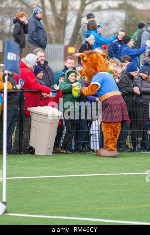 Clydebank, Schottland, Großbritannien. 13. Februar, 2019. Schottland und Schottland U20 während der offenen Training in Clydebank Gemeinschaft Sport Hub, in der Nähe von Glasgow, während das Guinness sechs Nationen brache Woche. Iain McGuinness/Alamy leben Nachrichten Stockfoto