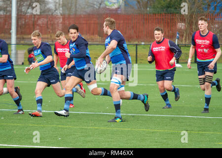 Clydebank, Schottland, Großbritannien. 13. Februar, 2019. Schottland und Schottland U20 während der offenen Training in Clydebank Gemeinschaft Sport Hub, in der Nähe von Glasgow, während das Guinness sechs Nationen brache Woche. Iain McGuinness/Alamy leben Nachrichten Stockfoto