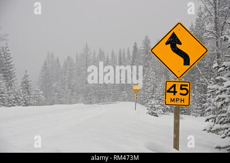 Straßenschilder entlang des Montana State Highway 508 im Yaak Valley während eines Schneesturms im Winter. Lincoln County, Nordwest-Montana. (Foto: Randy Beacham) Stockfoto