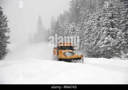 Lincoln County Schneewaggon pflügt während eines Schneesturms im Winter auf dem Montana State Highway 508 im Yaak Valley Schnee. Lincoln County, Nordwest-Montana. (Foto: Randy Beacham) Stockfoto