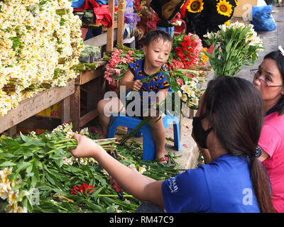 4. Mai 2012, Manila, Philippinen - ein kleiner Junge gesehen Helfen seiner Mutter die lange stammte Blumen für den Verkauf während valentine Vorbereitungen auf einem Markt in Manila zu arrangieren. (Bild: © Josefiel Rivera/SOPA Bilder über ZUMA Draht) Stockfoto