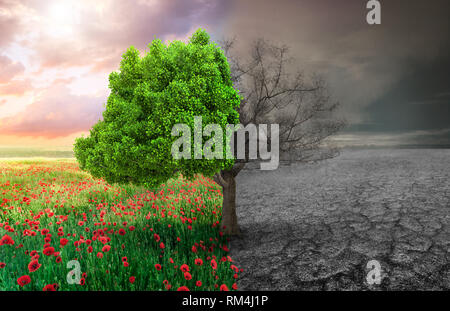 Ökologische Konzept mit Baum und Klima verändernden Landschaft Stockfoto