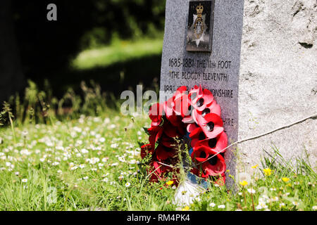 Mohnblumen auf Gedenkstein Stockfoto