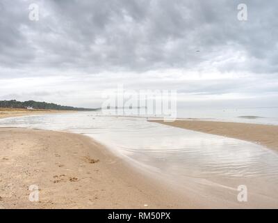 Menschen und Hunde Fußspuren am Strand im Sand Stockfoto