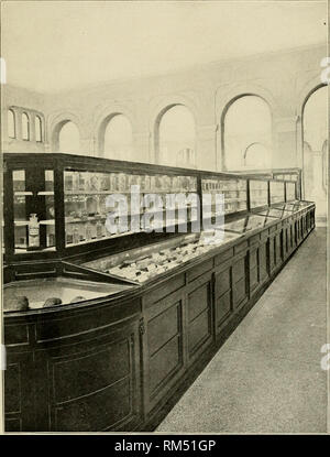 . Jahresbericht des Verwaltungsrats der Smithsonian Institution. Smithsonian Institution; Smithsonian Institution. Archive; Entdeckungen in der Wissenschaft. Bericht der US National Museum, 1 899.- Merrill. Platte 2. Ansicht der Fall und die Installation von nichtmetallischen Mineralien in der Galerie der Südwesten des US National Museum. Blick nach Norden. Bitte beachten Sie, dass diese Bilder sind von der gescannten Seite Bilder, die digital für die Lesbarkeit verbessert haben mögen - Färbung und Aussehen dieser Abbildungen können nicht perfekt dem Original ähneln. extrahiert. Smithsonian Institution. Boa Stockfoto